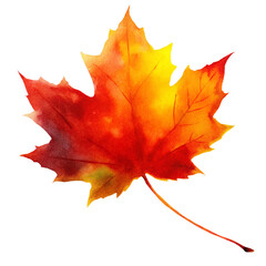 Fototapeta premium watercolor fall maple leaf on transparent background, red and orange maple leaf, png