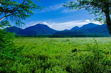 奥日光戦場ヶ原の湿原