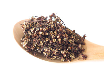 Close-up dried Indian ivy-rue (Makhwaen, Zanthoxylum limonella) on wooden spoon, a rare Thai spice with citrus aroma and numbing taste, used in traditional cooking and herbal medicine.