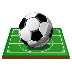 soccer ball on green grass