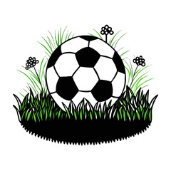 soccer ball on grass