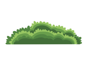 Obraz premium blooming tree, flowering tree, landscape tree, garden tree, tree side view, botanical tree, environment tree, tree illustration, decorative tree, spring tree, architectural tree, garden design tree, t