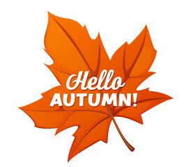Hello autumn banner with orange maple leaf, captures festive, colorful spirit of the fall season. Cartoon vector large, vibrant orange maple leaf with bold white lettering, conveying seasonal warmth