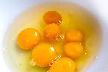 Double egg yolk in an egg