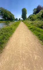A serene walking path by a gently flowing river is surrounded by greenery and bright blue skies on a sunny day