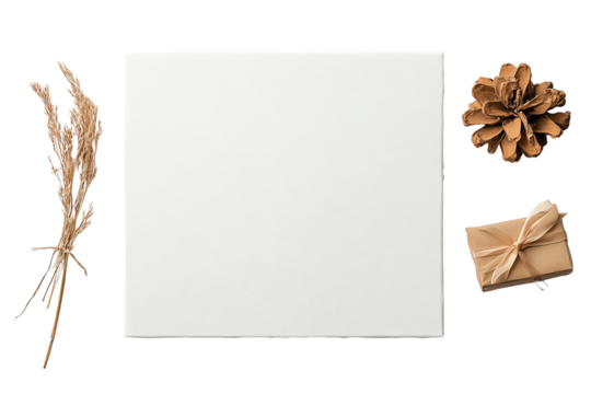 A flat lay arrangement featuring a blank white card, dried flowers, a pine cone, and a small gift box, perfect for creative designs.