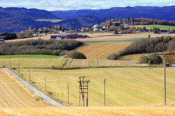 Agricultural area Byneset in the autumn, Norway
