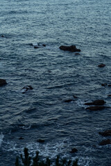 Fototapeta premium 바다