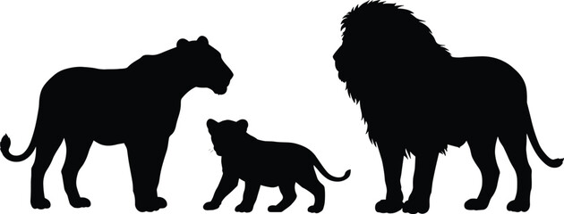 Lion family silhouette, lioness, cub, male lion with mane, African wildlife vector, pride illustration, black animal shapes on white background © MdShahin
