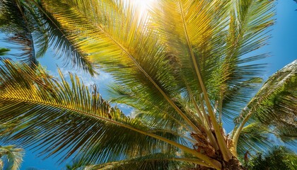 Fototapeta premium looking up through a canopy of swaying palm trees against a bright blue sky fronds radiate in all directions with sunlit greens and yellows evoking a warm tropical getaway vibe