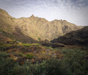 Exploring the Stunning Afur Ravine in Anaga Mountains, Tenerife's Wild Beauty