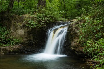 A tiny cascade softly streams over stones amid dense greenery, enveloped by vivid leaves.