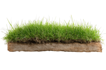 Fresh green grass on a wood base, ideal for landscaping or gardening projects, showcasing natural beauty and vibrant colors.