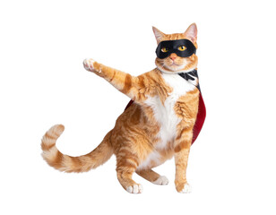 A heroic cat in a mask and cape strikes a dynamic pose, embodying the spirit of a superhero.