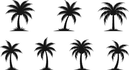 Silhouette palm tree, tropical beach design, black vector illustration, exotic nature, summer vacation, island art, botanical shape, travel, paradise, coastal