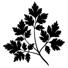 Cottonseed Silhouette Vector on White Background