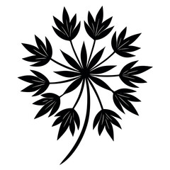 Cumin Silhouette Vector On White Background 