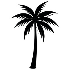 Palm Tree Silhouette Vector on White Background