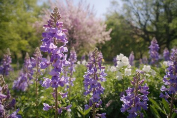 Obraz premium Vibrant purple blossoms in a lush green setting, showcasing the charm of summer and spring nature