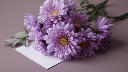 Funeral customs involve using purple chrysanthemum blooms for mourning rituals