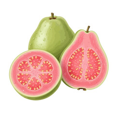 Open Holy Book on Rehal Stand | Quran Reading Symbol | Islamic Religious Vector Icon