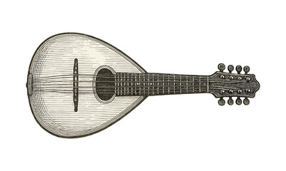 Detailed drawing of a mandolin featuring engraved artistic style with vintage appeal