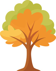 Maple tree