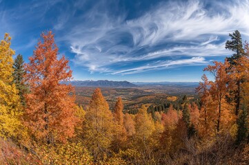 Fototapeta premium Wide-angle scene of autumn foliage in a mountain range