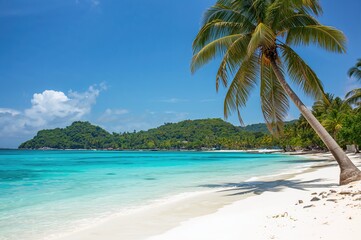 Exotic seaside paradise with palm-lined sandy coast and crystal-clear blue sea. Stunning scenic environment. Luxury holiday spot with beautiful landscapes. Popular vacation location