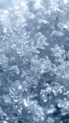 water drops on the window