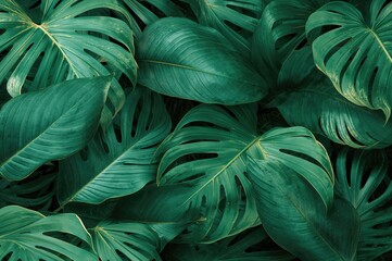 Obraz na płótnie Canvas Lush botanical backdrop featuring vibrant light green foliage for creative projects