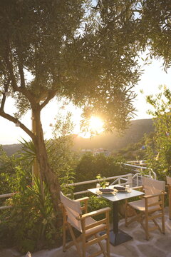 Restaurant Golden Hour Tree