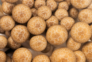 Close-up of the surface of a brown Shimeji or Beech mushroom cap.