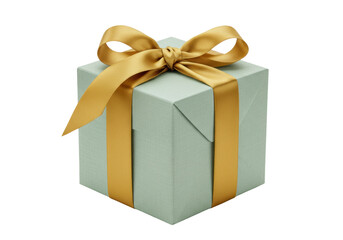 Elegant light green gift box with golden ribbon isolated, present for special occasion and holiday celebration