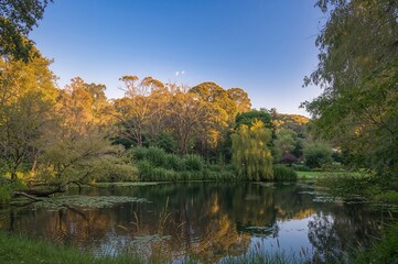 A botanical garden situated in the Central Plateau region of New South Wales, featuring diverse plant collections.