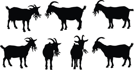Goat silhouette eating leaves, black animal shapes, farm livestock illustration, grazing wildlife vector, horned goat design, nature agriculture concept art
