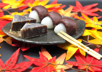 Traditional Japanese Mochi with Anko (Red Bean Paste) and Yokan on a Plate with Autumn Leaves