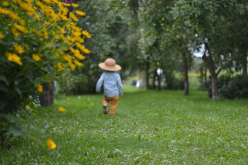 Fototapeta premium a little boy in a straw hat in an apple orchard