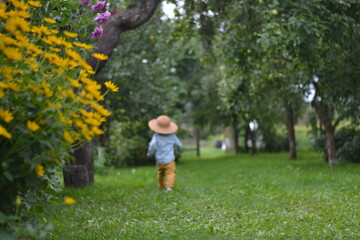 Fototapeta premium a little boy in a straw hat in an apple orchard