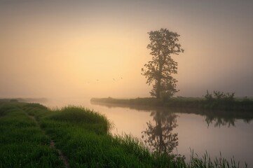 Fototapeta premium Early fog drifting over the water