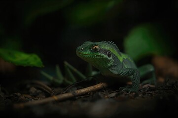 Small dark lizard with green markings