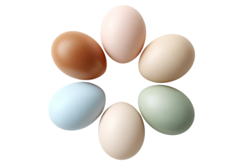 Colorful eggs arranged in a starburst pattern (1)