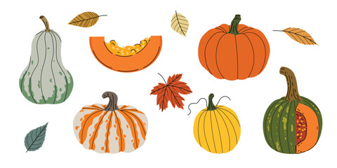 Fall pumpkin and autumn leaves set. Collection of seasonal vegetables and foliage in flat modern style. Best for Thanksgiving and harvest design. Vector illustration isolated on white background.