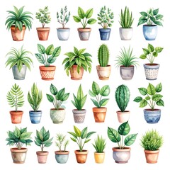 Watercolor Illustration of Various Potted Houseplants
