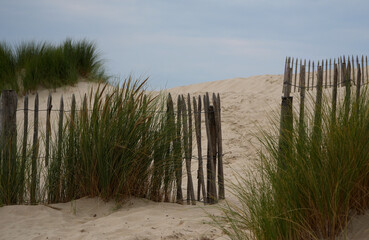 old wooden fence with grass and sand dunes on the coastline at the Normandy, France