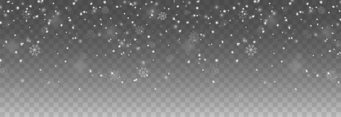 Snowfall PNG. Heavy snowfall or snowstorm with snowflakes of various shapes. Winter snowy background.