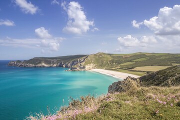 Obraz premium Scenic coastal view with beach and ocean waves