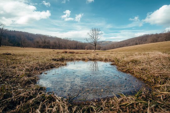 Springtime meadow with water pooling over dry grass, barren hills with leafless trees under a cloudy blue sky