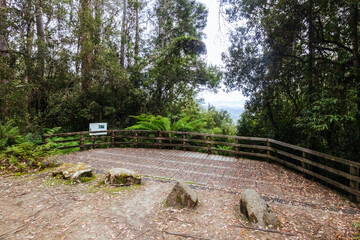Obraz premium Lake Dobson Area in Tasmania Australia