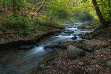 Stream flowing over moss-covered rocks in woodland